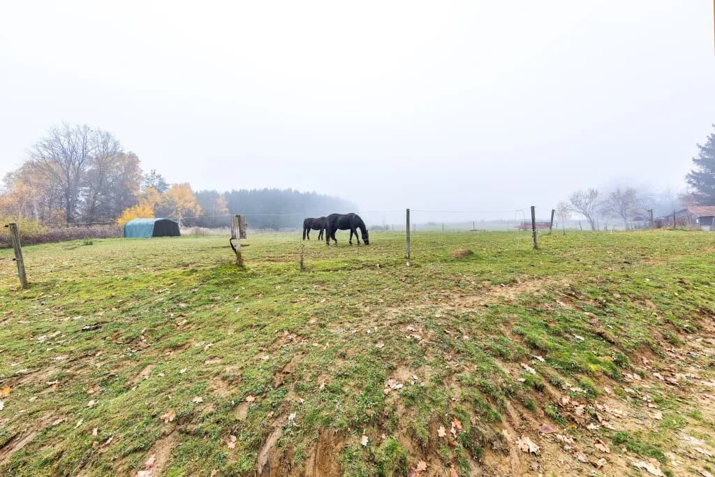 9-Zimmer-Immobilie kaufen in Güssing – 350 m², € 999.000 – Bild 49 von 60