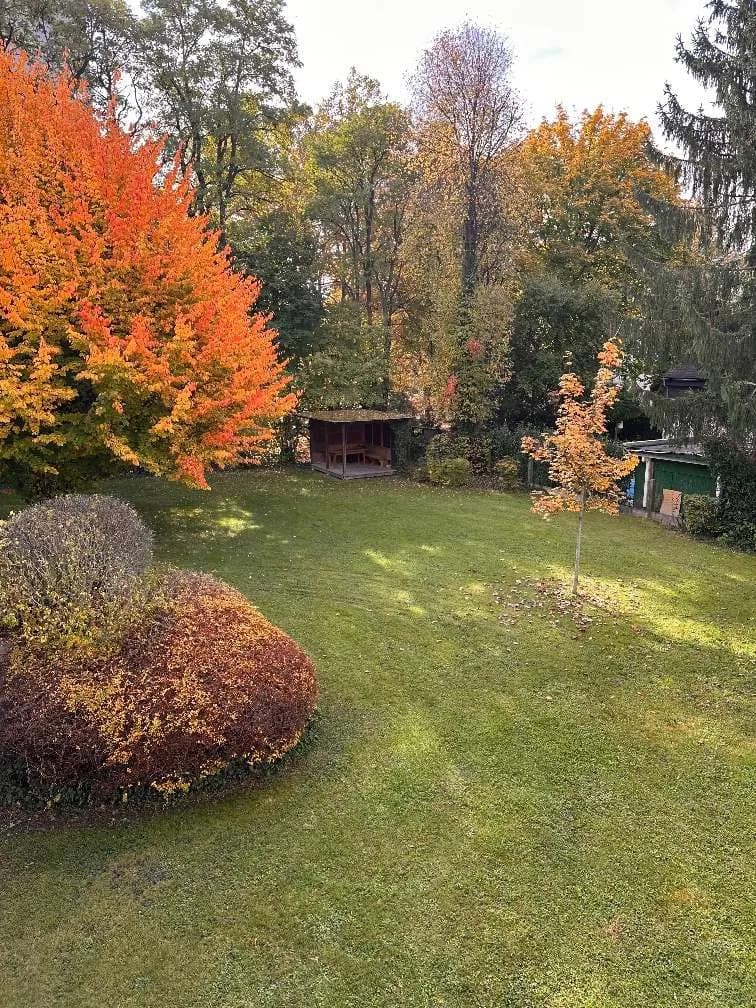 1-Zimmer-Gewerbeimmobilie mieten in Graz – 16 m², € 150 – Bild 11 von 19