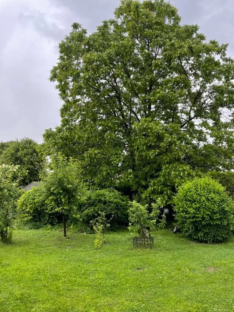 3-Zimmer-Wohnung mieten in Wolfsberg – 70 m², € 630 – Bild 36 von 47