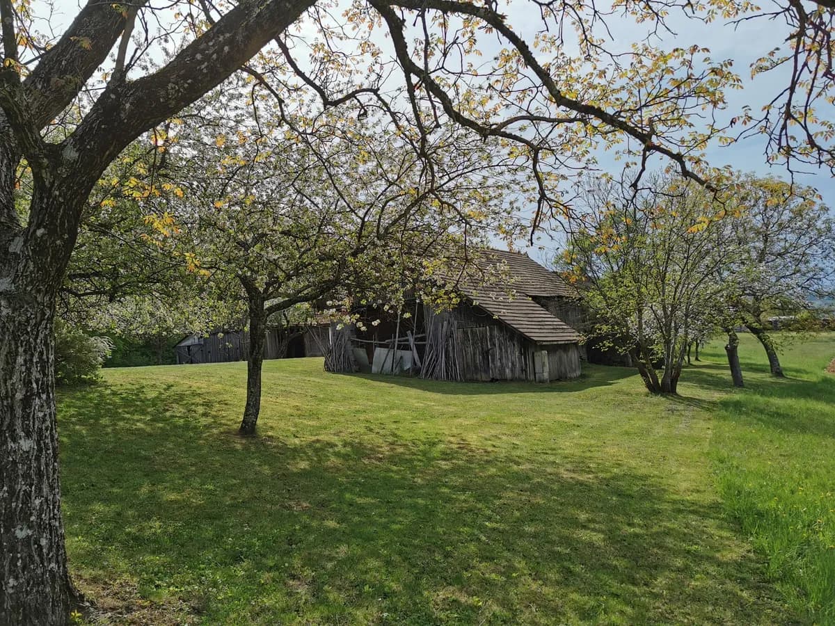 6-Zimmer-Haus kaufen in Südoststeiermark – 120 m², € 449.000 – Bild 49 von 70