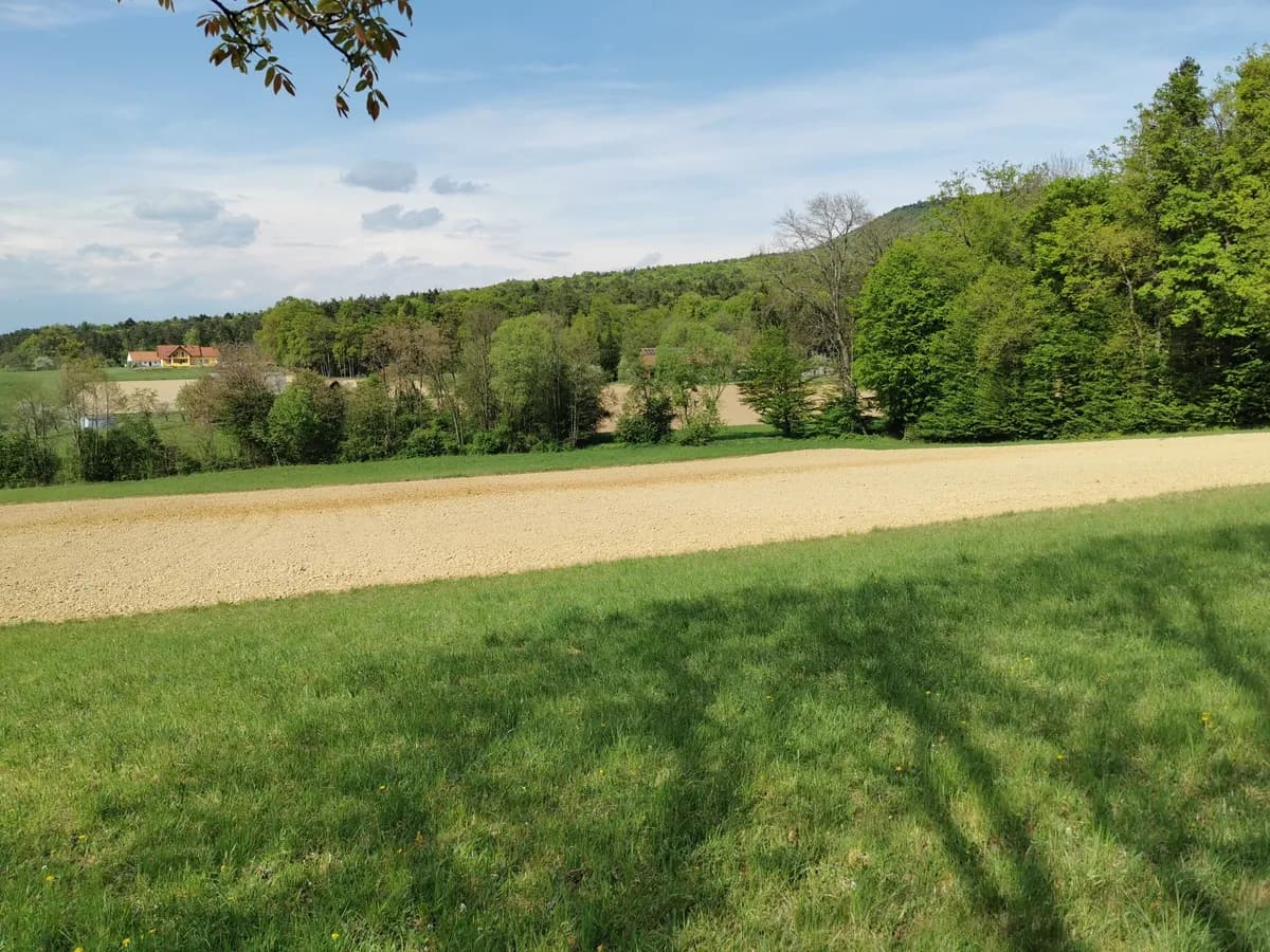 6-Zimmer-Haus kaufen in Südoststeiermark – 120 m², € 449.000 – Bild 51 von 70