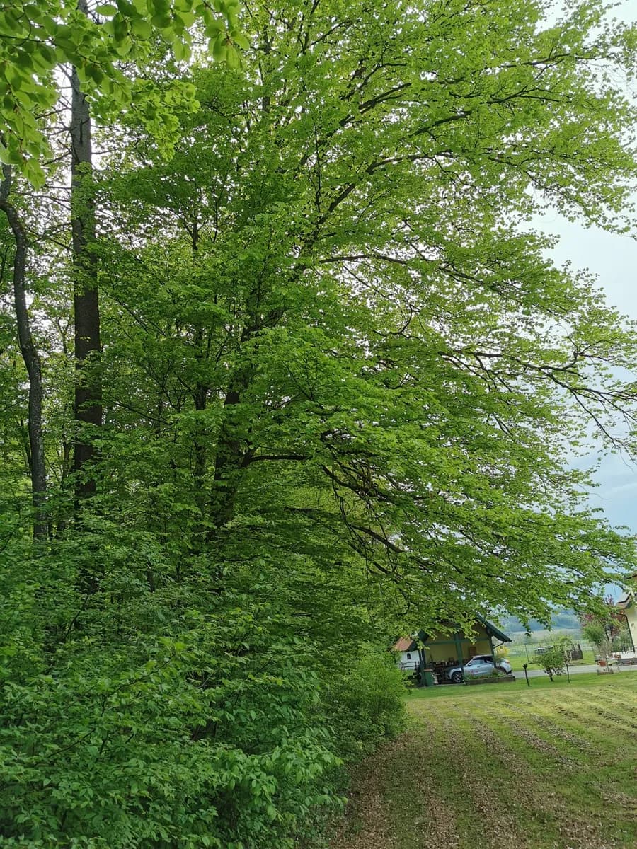 6-Zimmer-Haus kaufen in Südoststeiermark – 120 m², € 449.000 – Bild 55 von 70