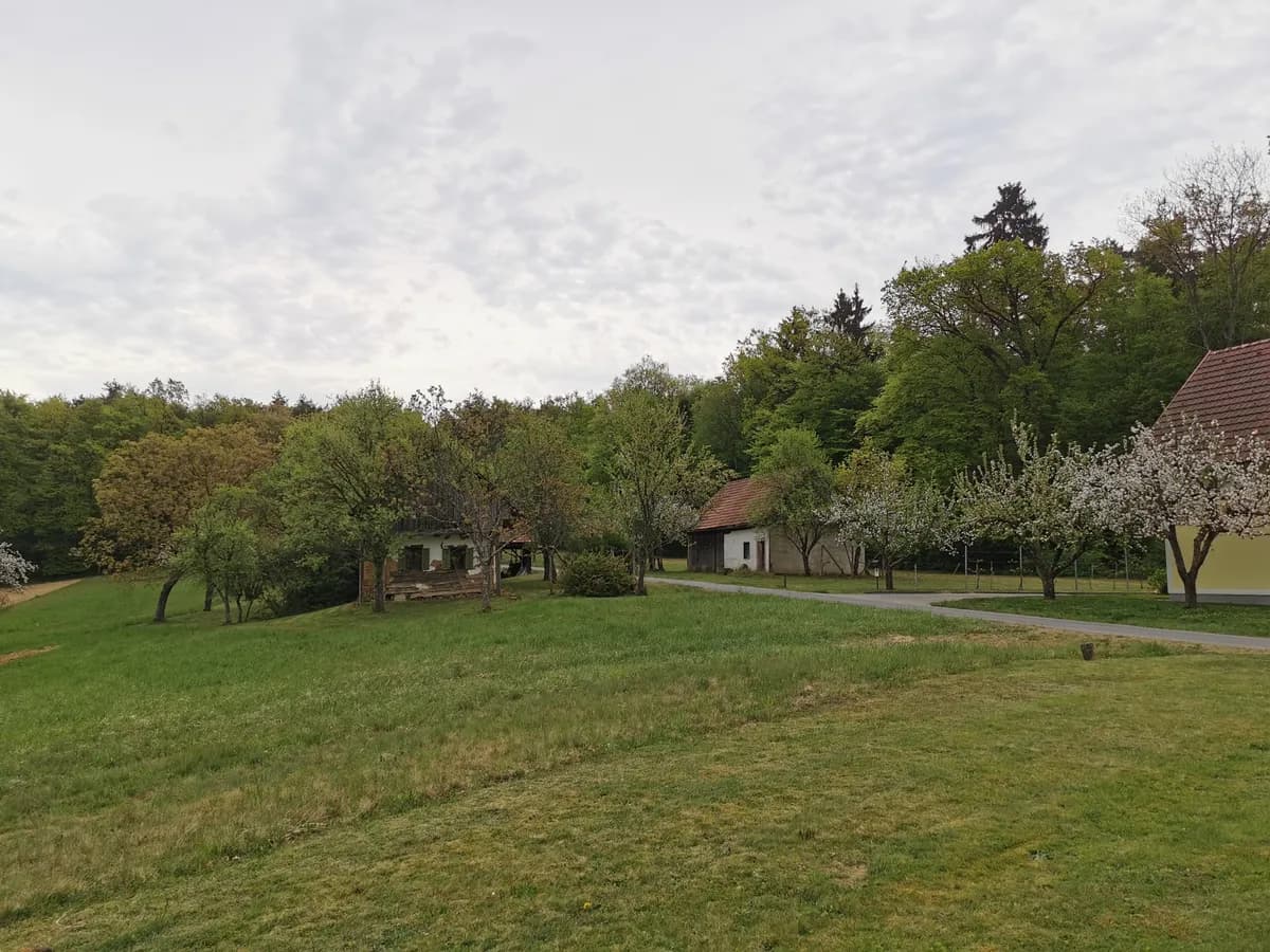 6-Zimmer-Haus kaufen in Südoststeiermark – 120 m², € 449.000 – Bild 61 von 70