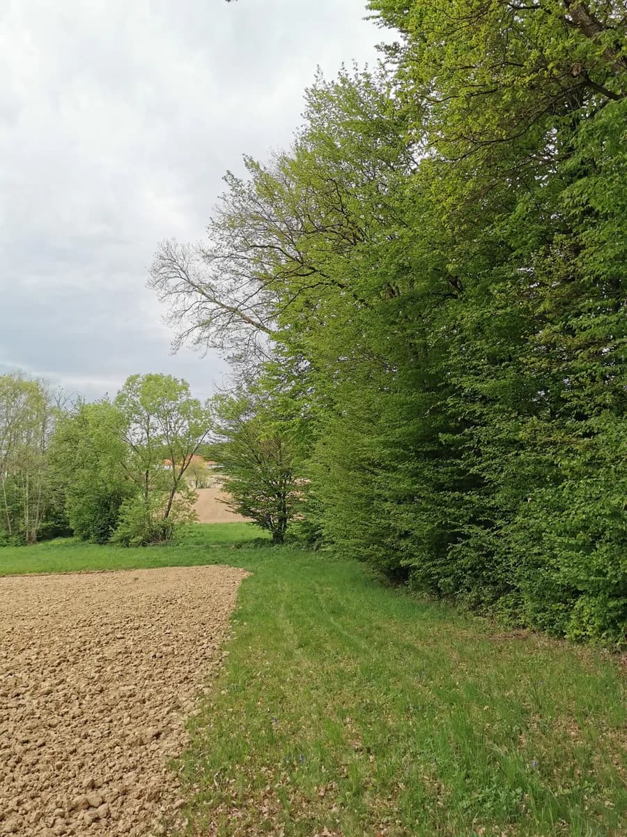 6-Zimmer-Haus kaufen in Südoststeiermark – 120 m², € 449.000 – Bild 69 von 70