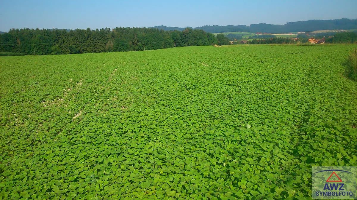 Grundstück kaufen in Hollabrunn – 3 m²