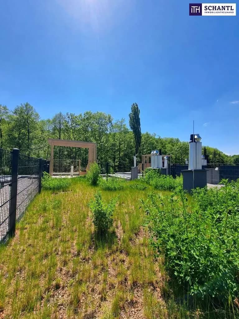 3-Zimmer-Wohnung kaufen in Mödling – 87,91 m², € 476.000 – Bild 6 von 35