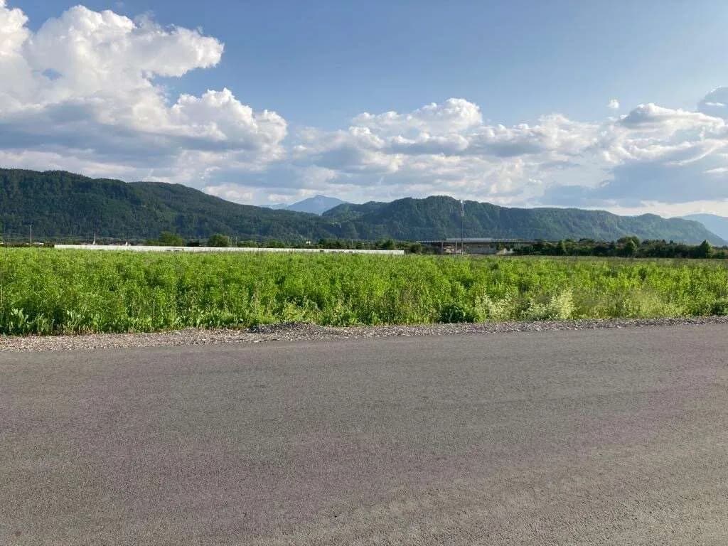 Immobilie mieten in Klagenfurt – 24 000 m² – Bild 4 von 10