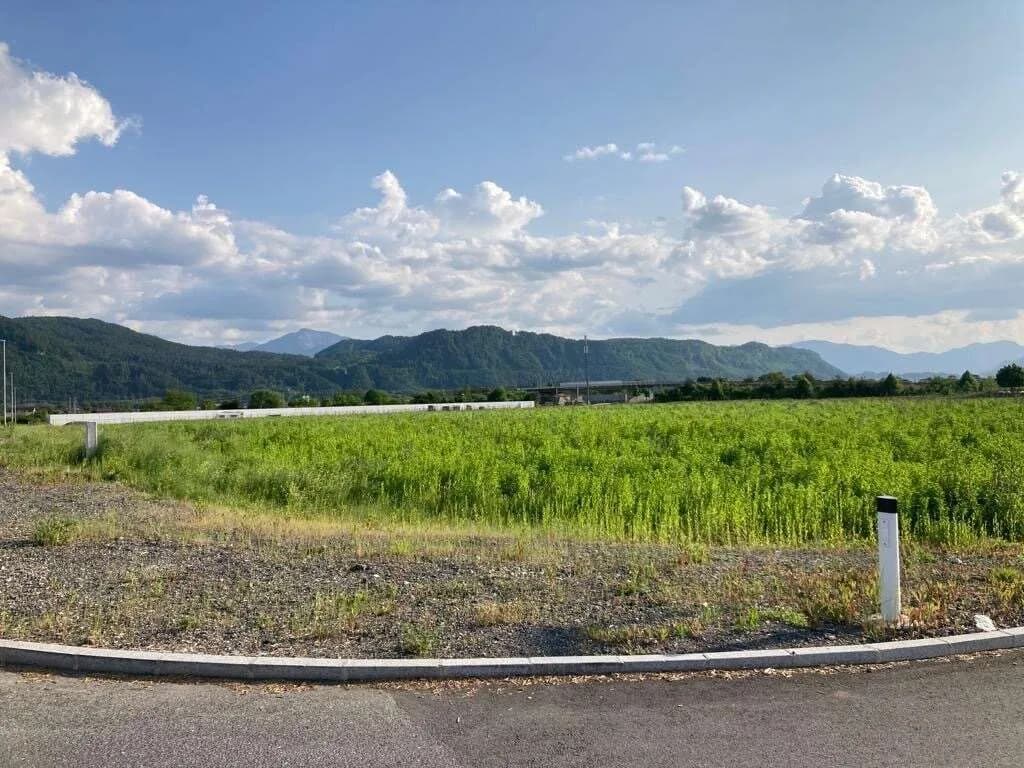 Immobilie mieten in Klagenfurt – 24 000 m² – Bild 6 von 10