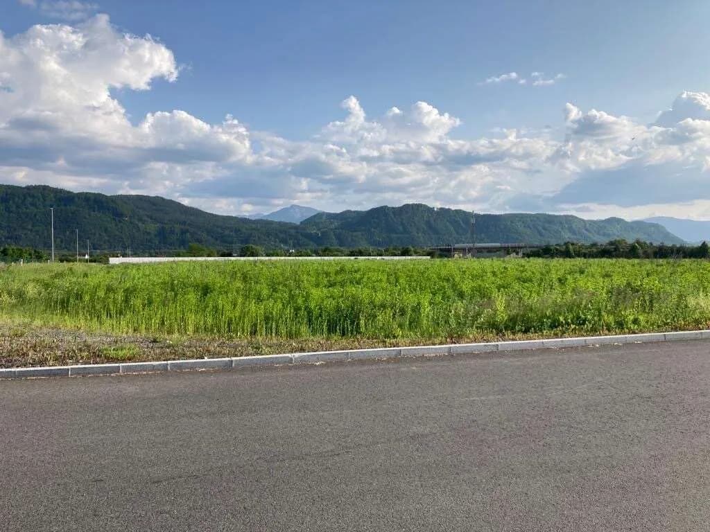 Immobilie mieten in Klagenfurt – 24 000 m² – Bild 7 von 10
