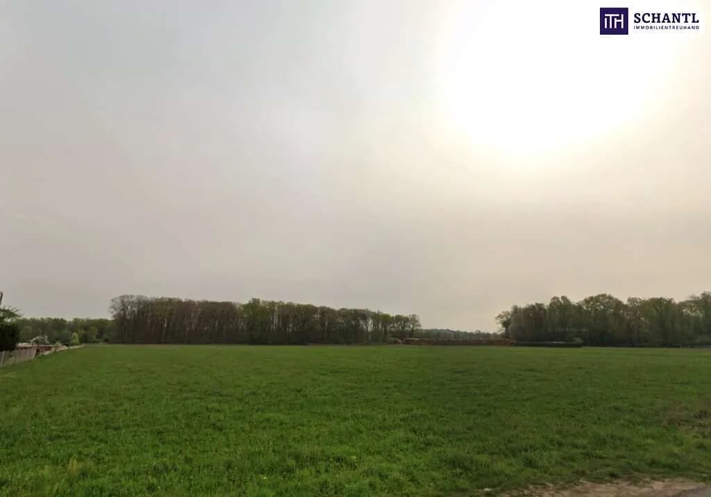 Immobilie kaufen in Leibnitz – 9 787 m², € 1.099.000