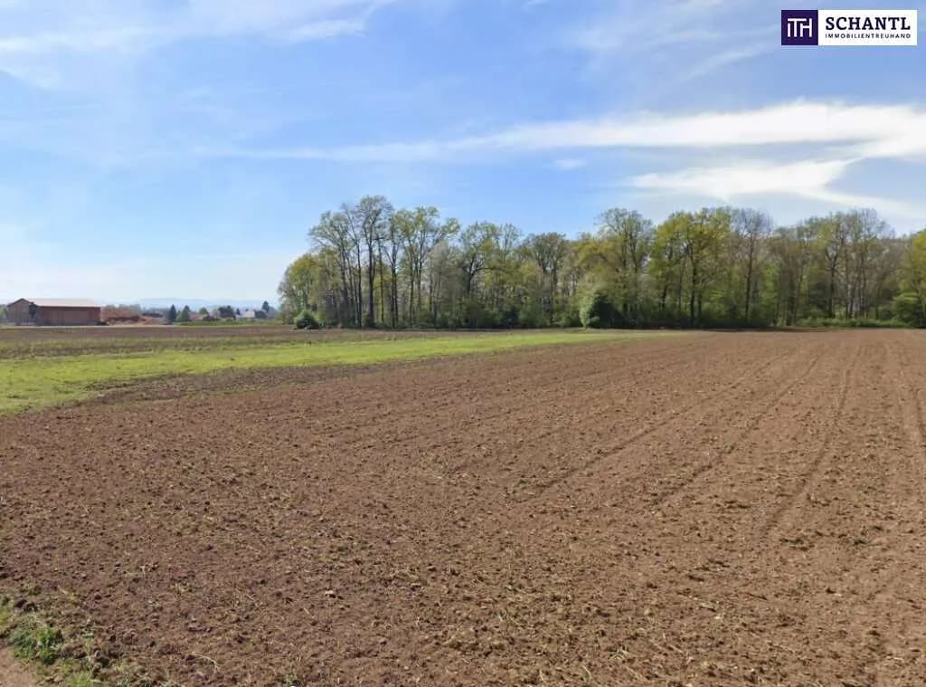 Immobilie kaufen in Leibnitz – 9 787 m², € 1.099.000 – Bild 2 von 7
