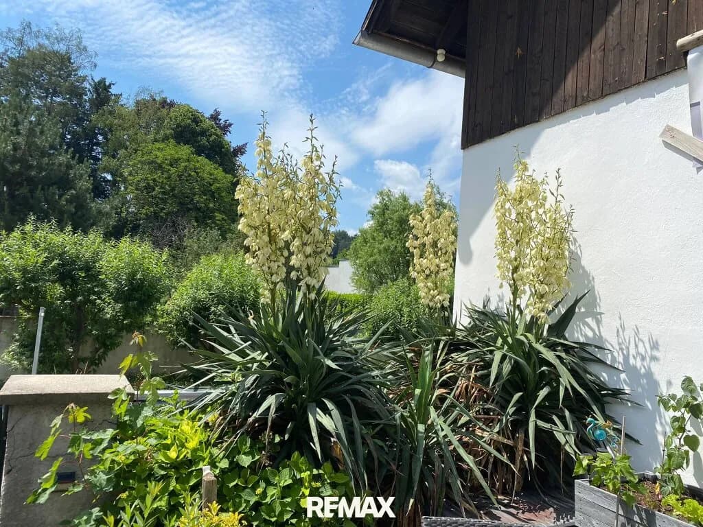 8-Zimmer-Haus kaufen in Neunkirchen – 250 m², € 389.000 – Bild 7 von 54