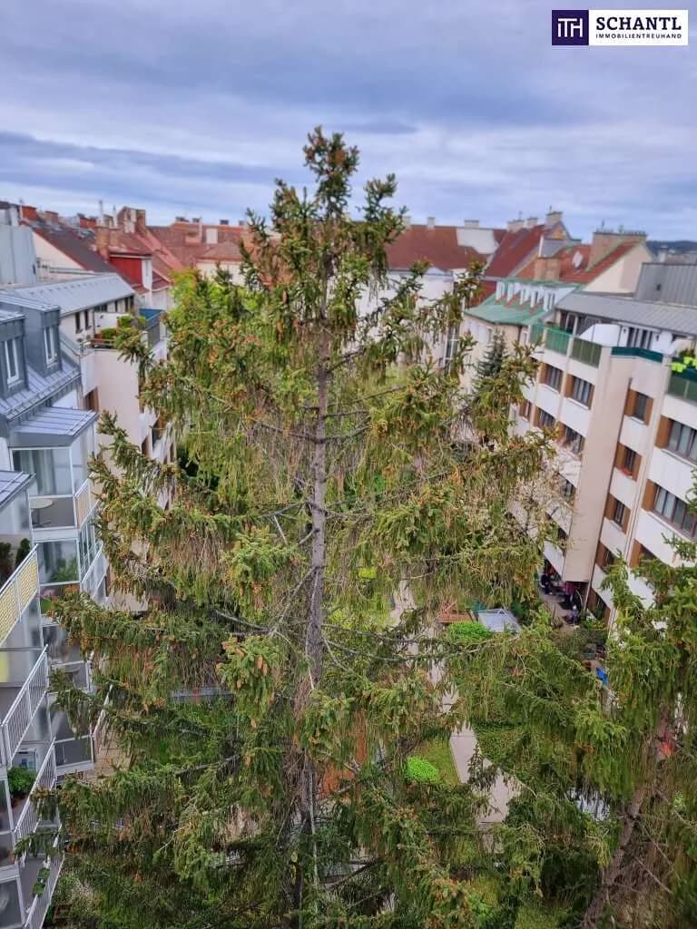 Gewerbeimmobilie kaufen in Wien – 431,81 m², € 390.000 – Bild 8 von 26