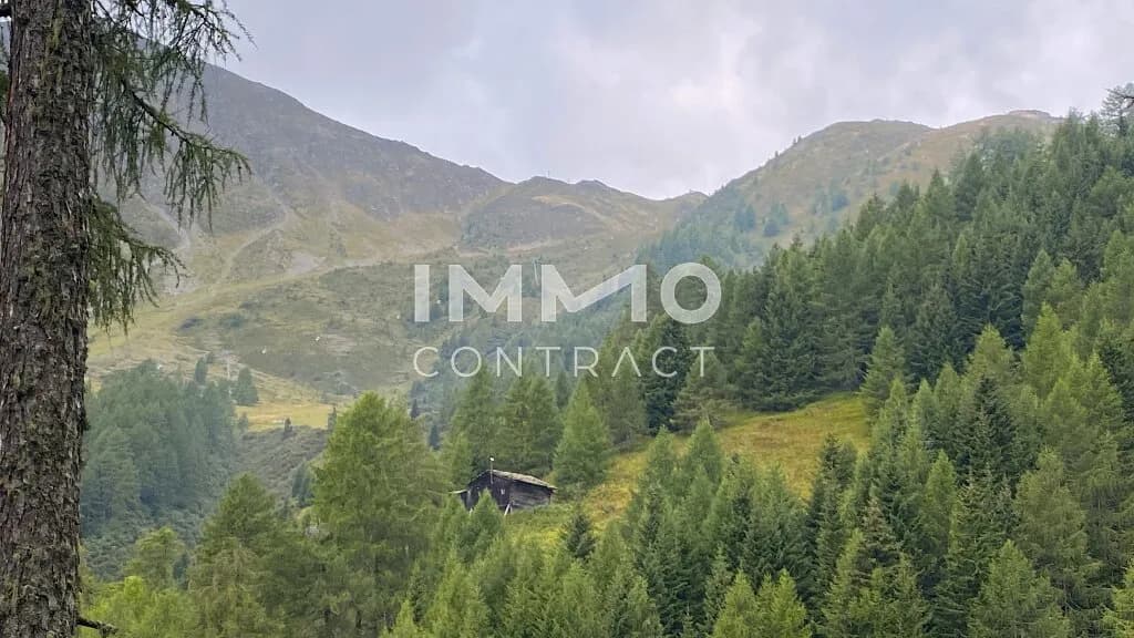 Immobilie kaufen in Lienz – 351 594 m², € 350.000 – Bild 2 von 8