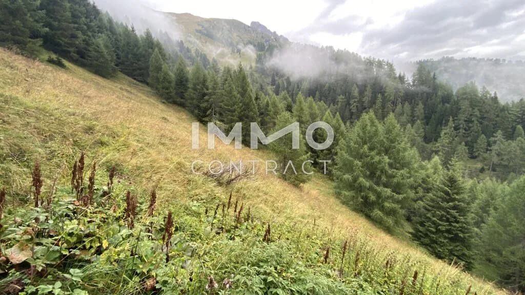 Immobilie kaufen in Lienz – 351 594 m², € 350.000 – Bild 4 von 8