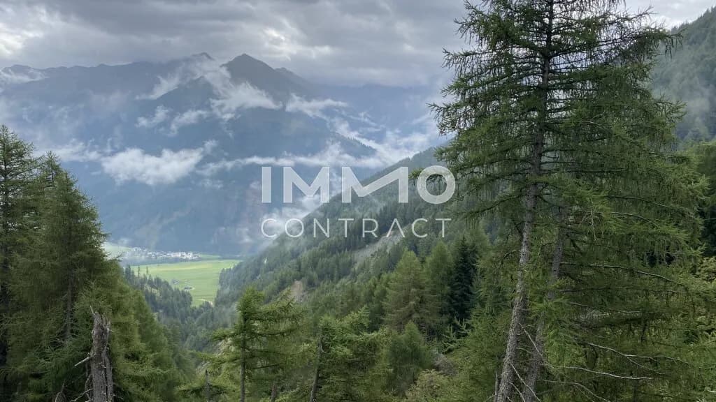 Immobilie kaufen in Lienz – 351 594 m², € 350.000 – Bild 5 von 8
