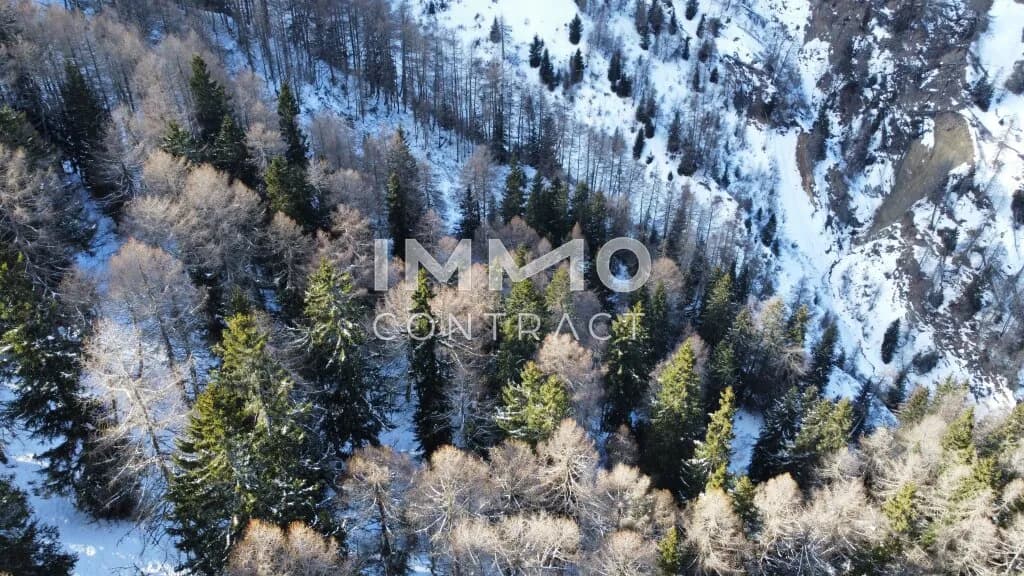 Immobilie kaufen in Lienz – 351 594 m², € 350.000 – Bild 6 von 8