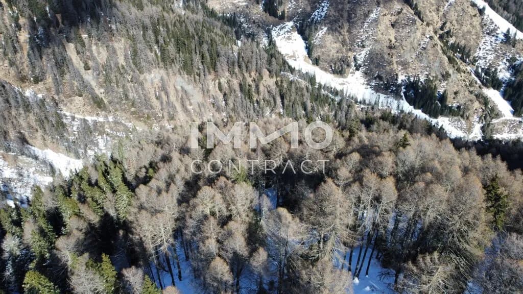 Immobilie kaufen in Lienz – 351 594 m², € 350.000 – Bild 7 von 8