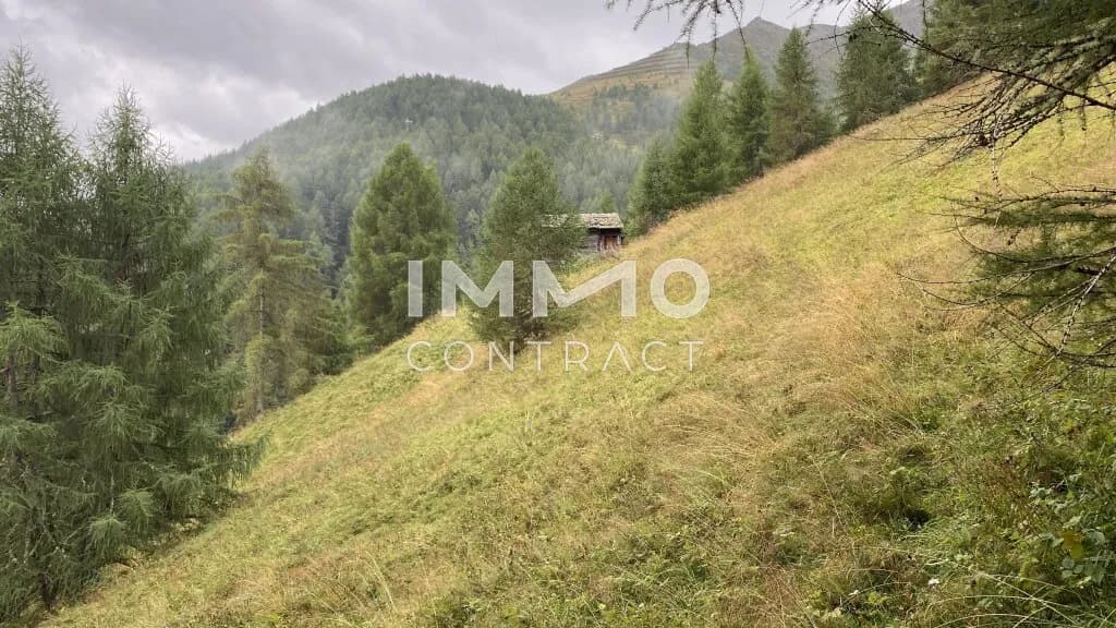 Immobilie kaufen in Lienz – 351 594 m², € 350.000 – Bild 8 von 8