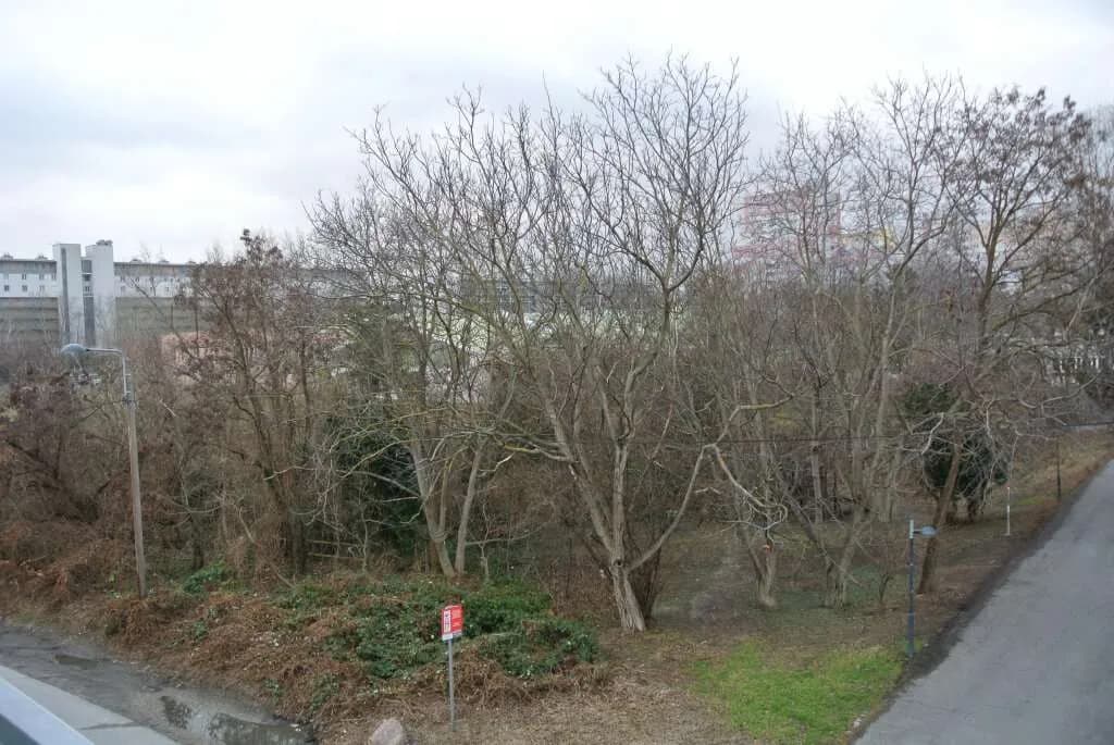 1-Zimmer-Wohnung kaufen in Wien – 34,26 m², € 217.190 – Bild 10 von 12