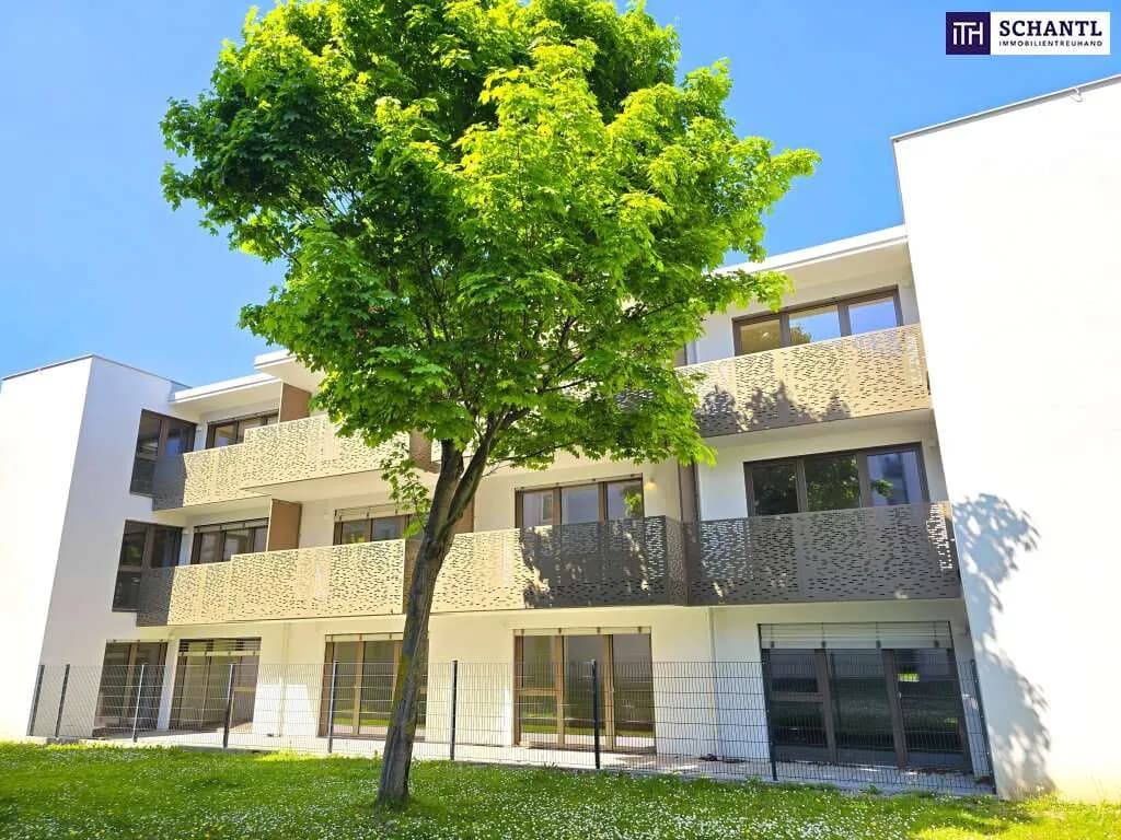 1-Zimmer-Wohnung kaufen in Wien – 30,93 m², € 176.147 – Bild 8 von 21