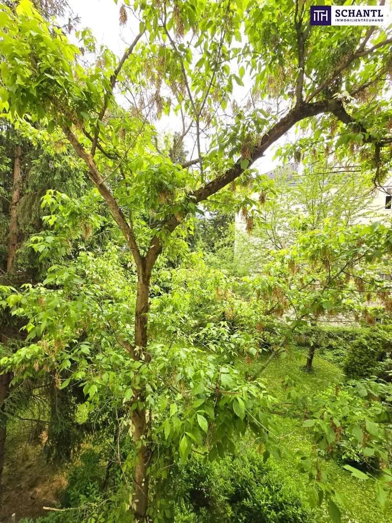 3-Zimmer-Wohnung kaufen in Wien – 88,86 m², € 575.000 – Bild 4 von 41