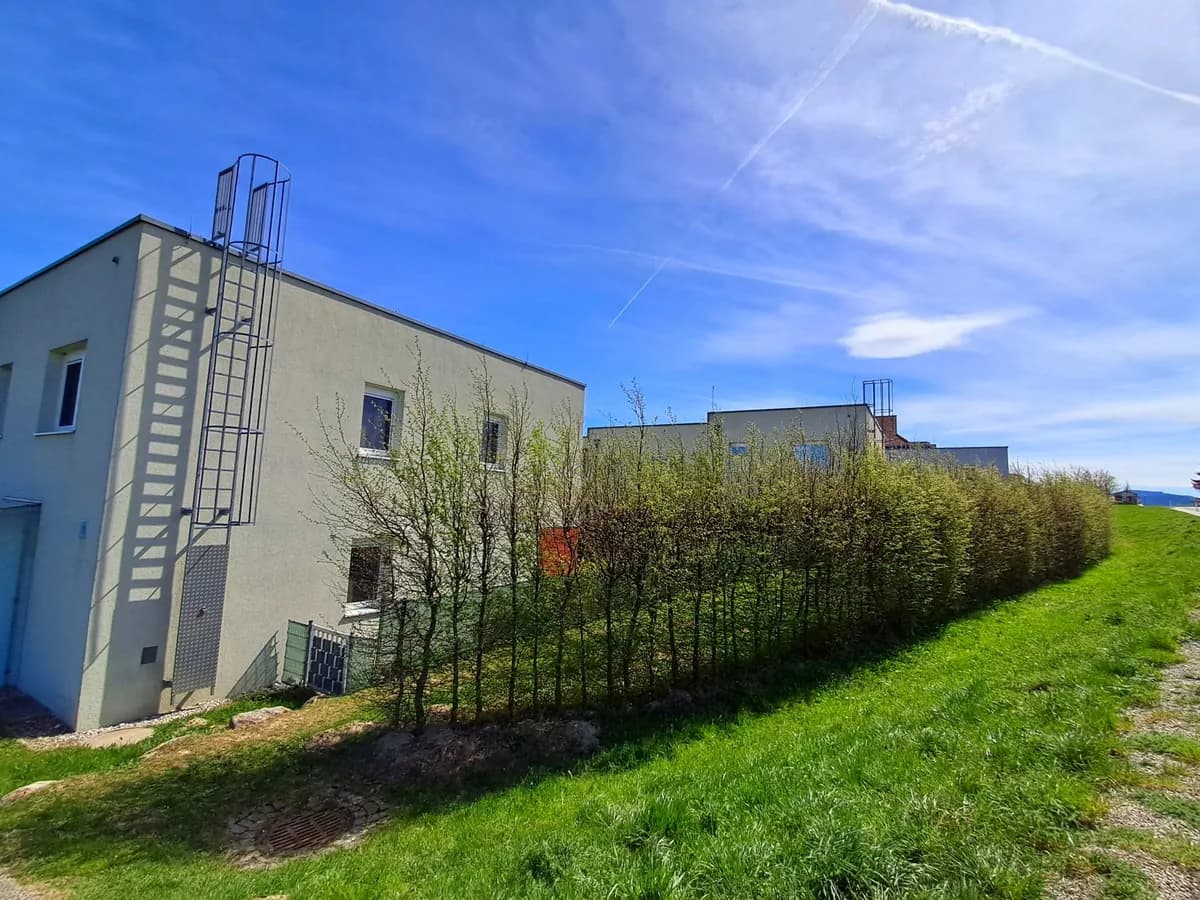 2-Zimmer-Wohnung mieten in Amstetten – 57,45 m², € 746 – Bild 17 von 37
