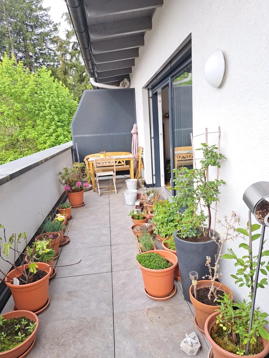 2-Zimmer-Wohnung mieten in Braunau am Inn – 53 m², € 895 – Bild 3 von 4