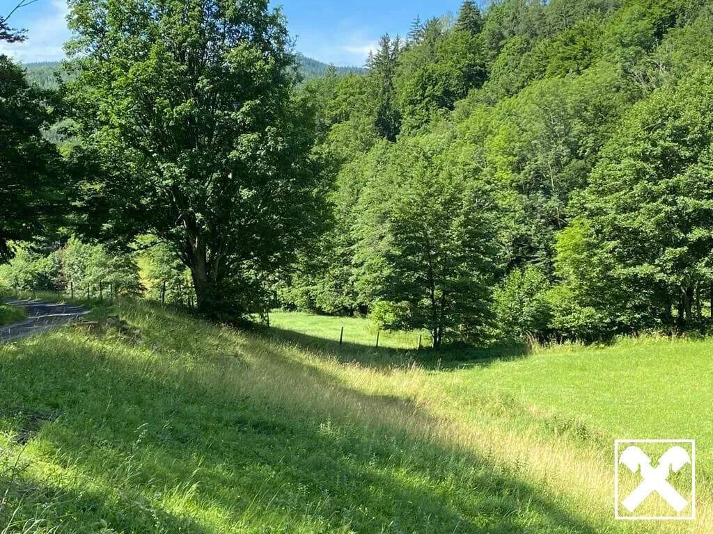Grundstück kaufen in Neunkirchen – 1 845 m², € 375.000 – Bild 4 von 7