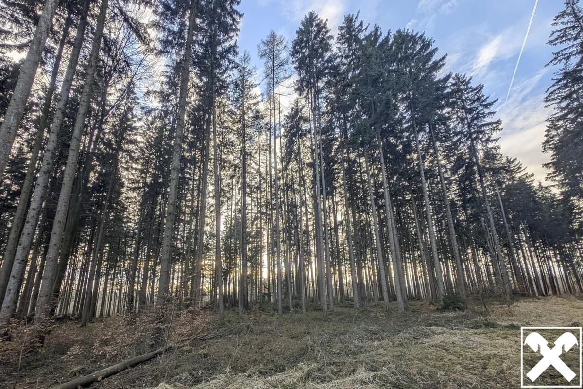 Grundstück kaufen in Vöcklabruck – 15 352 m², € 97.000 – Bild 2 von 4