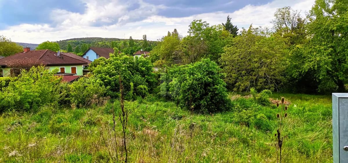 Grundstück kaufen in Wiener Neustadt Land – 1 196 m²