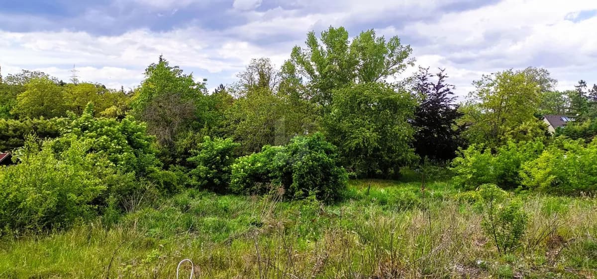 Grundstück kaufen in Wiener Neustadt Land – 1 196 m² – Bild 2 von 4