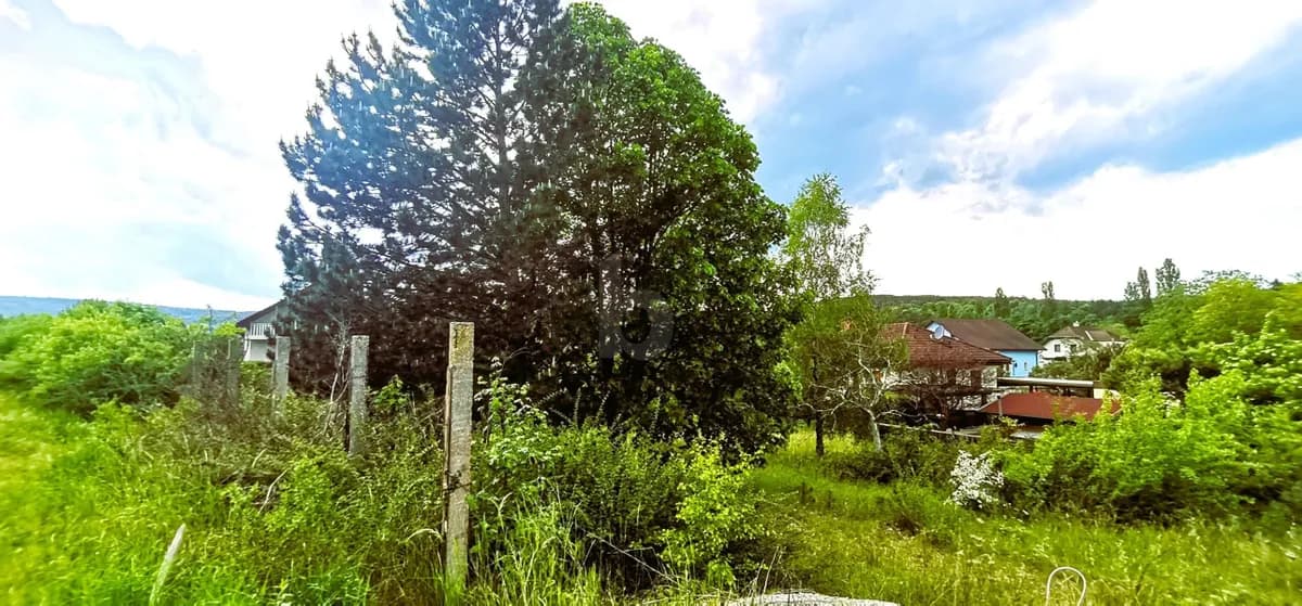 Grundstück kaufen in Wiener Neustadt Land – 1 196 m² – Bild 3 von 4