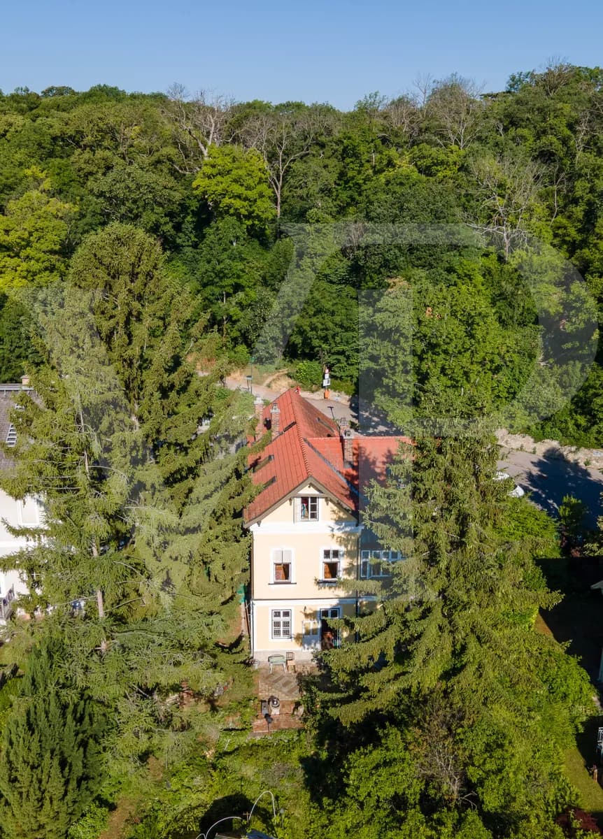 Immobilie kaufen in Mödling – 270 m², € 1.950.000 – Bild 2 von 8