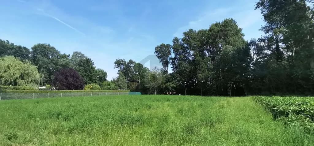 Grundstück kaufen in Wiener Neustadt Land – 1 621 m², € 790.000 – Bild 2 von 6