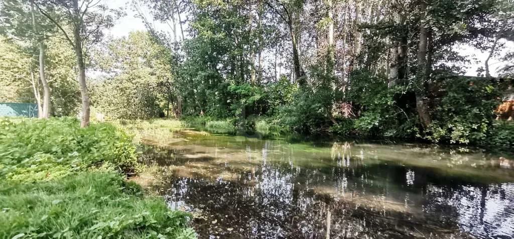 Grundstück kaufen in Wiener Neustadt Land – 1 621 m², € 790.000 – Bild 5 von 6