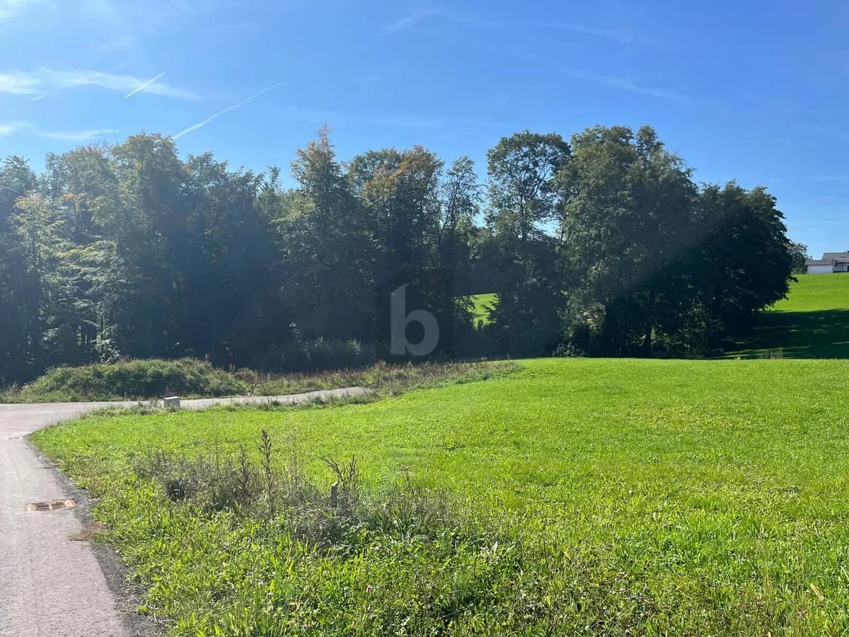 Grundstück kaufen in Steyr-Land – 1 633 m², € 359.260