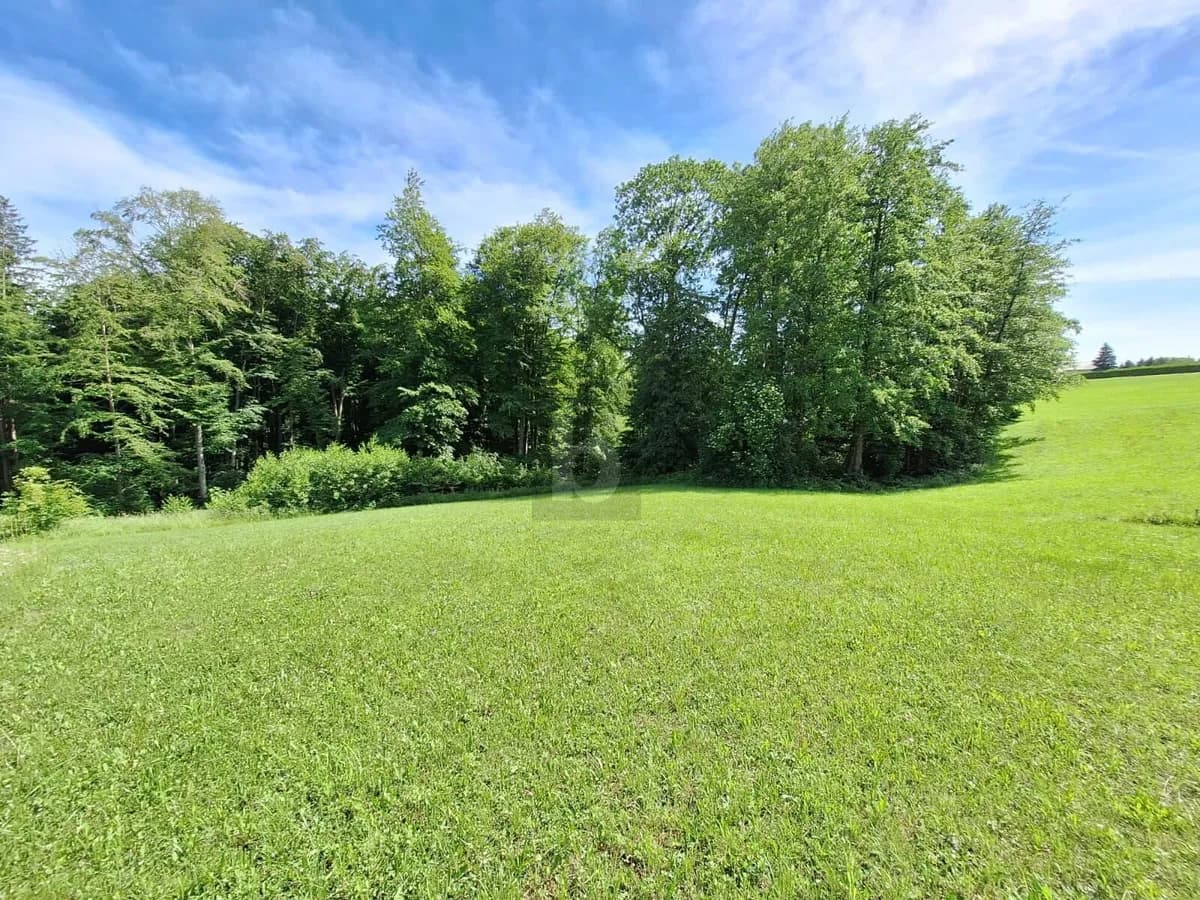 Grundstück kaufen in Steyr-Land – 1 633 m², € 359.260 – Bild 4 von 6