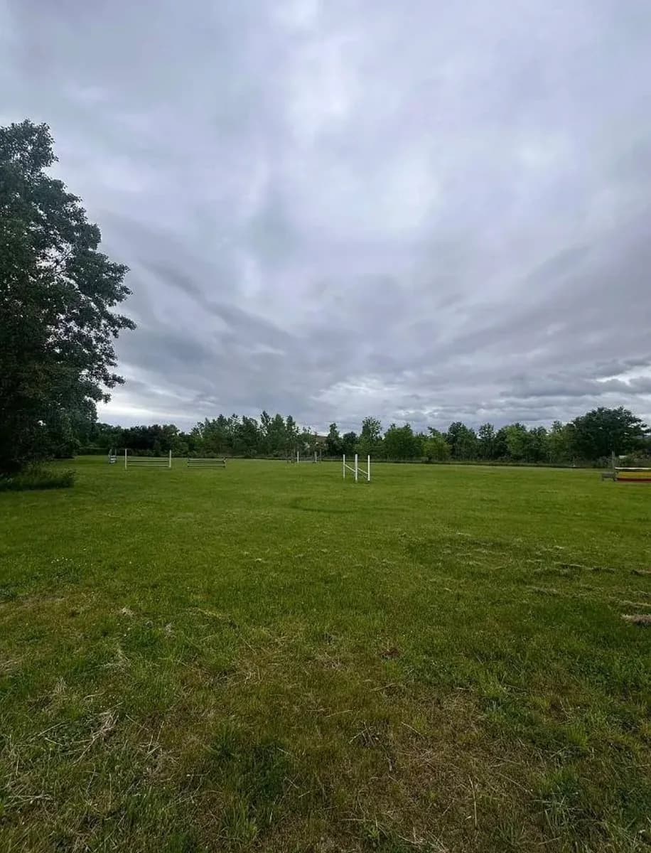 Gewerbeimmobilie kaufen in Neunkirchen – 10 662 m², € 2.500.000 – Bild 4 von 12