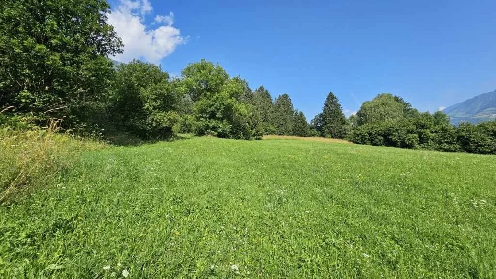Grundstück kaufen in Spittal an der Drau – 6 369 m², € 89.000 – Bild 3 von 11
