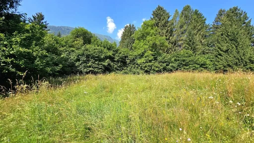 Grundstück kaufen in Spittal an der Drau – 6 369 m², € 89.000 – Bild 7 von 11