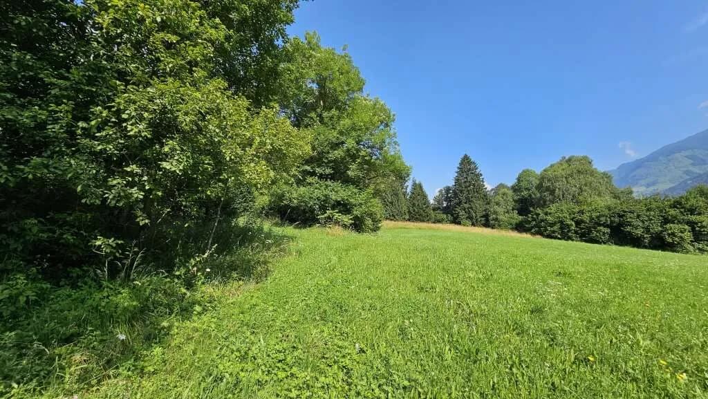 Grundstück kaufen in Spittal an der Drau – 6 369 m², € 89.000 – Bild 9 von 11