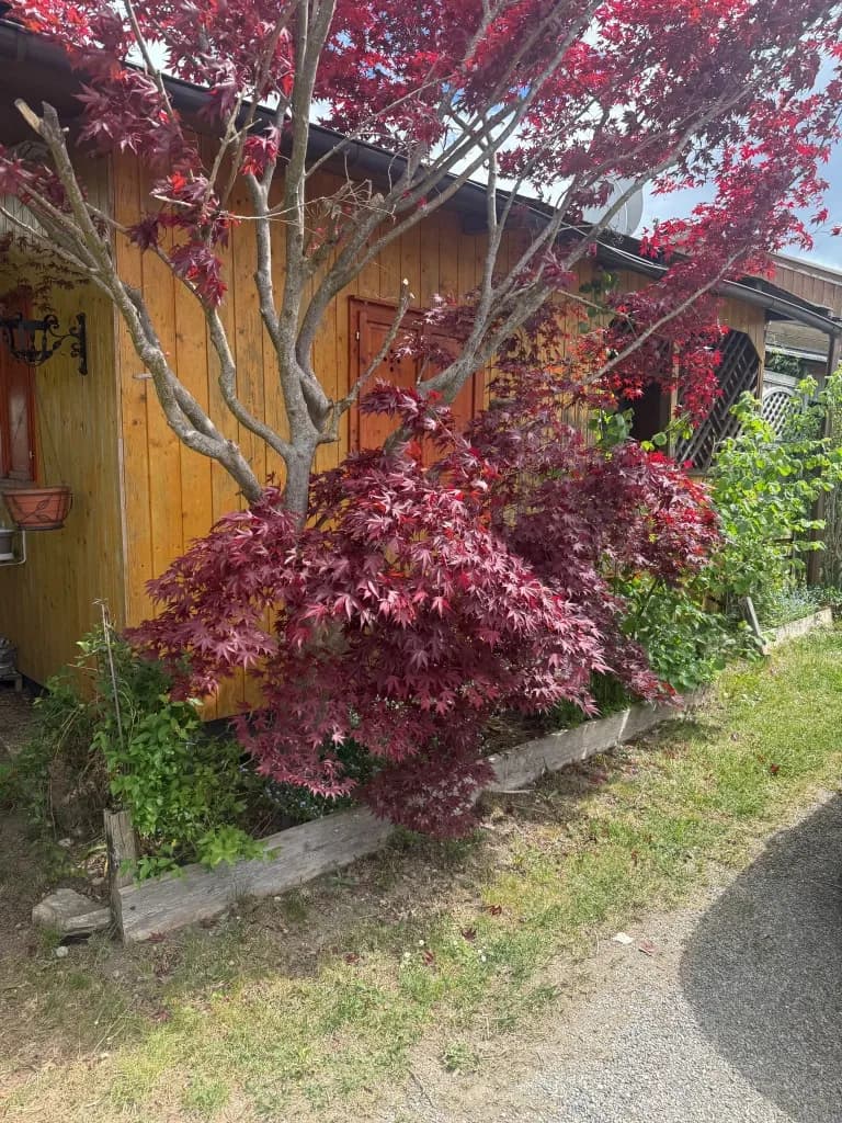 Wohnung kaufen in Deutschlandsberg – 40 m², € 23.000 – Bild 16 von 17