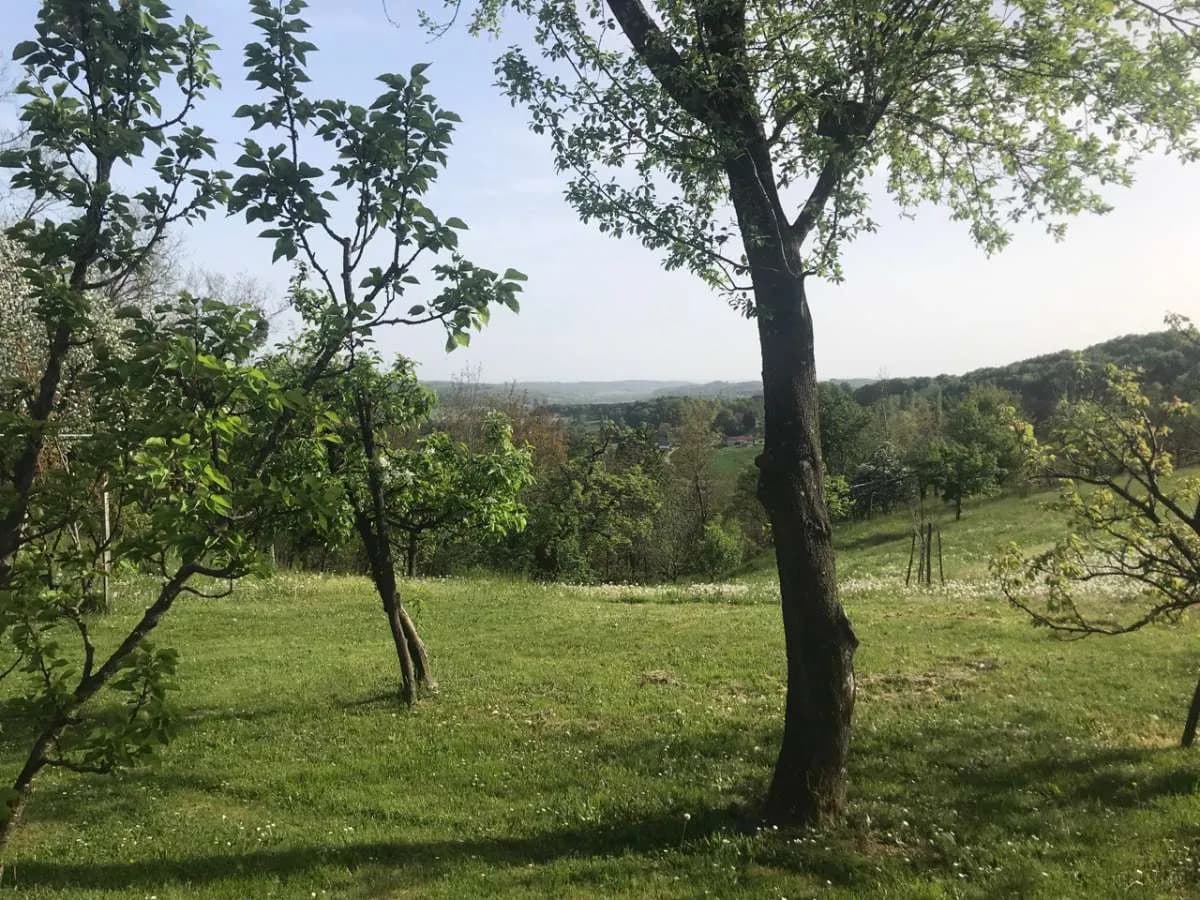 4-Zimmer-Immobilie kaufen in Jennersdorf – 87 m², € 179.000 – Bild 6 von 19