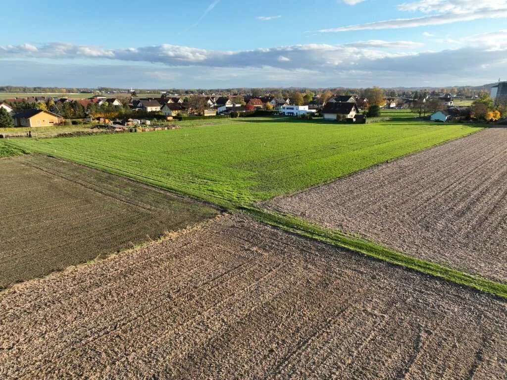 Grundstück kaufen in Südoststeiermark – 722 m², € 70.756 – Bild 3 von 7