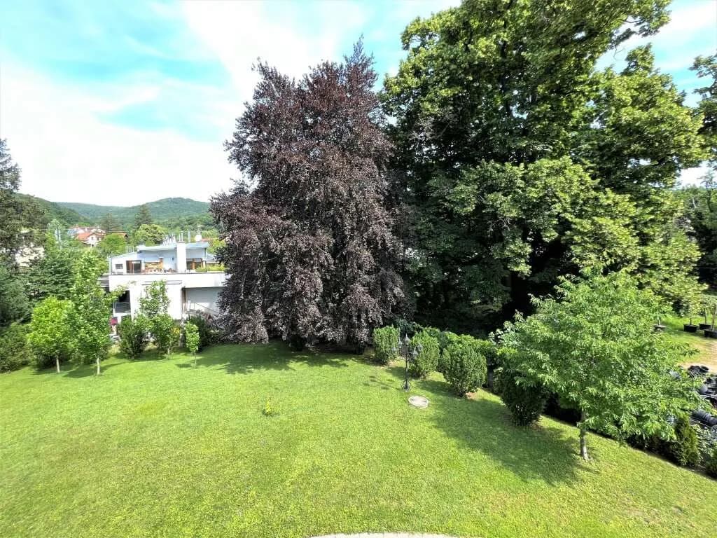 11-Zimmer-Immobilie kaufen in Wien – 954 m² – Bild 6 von 47
