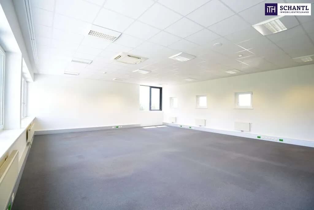 Gewerbeimmobilie mieten in Graz-Umgebung – 796 m², € 11.741 – Bild 32 von 52