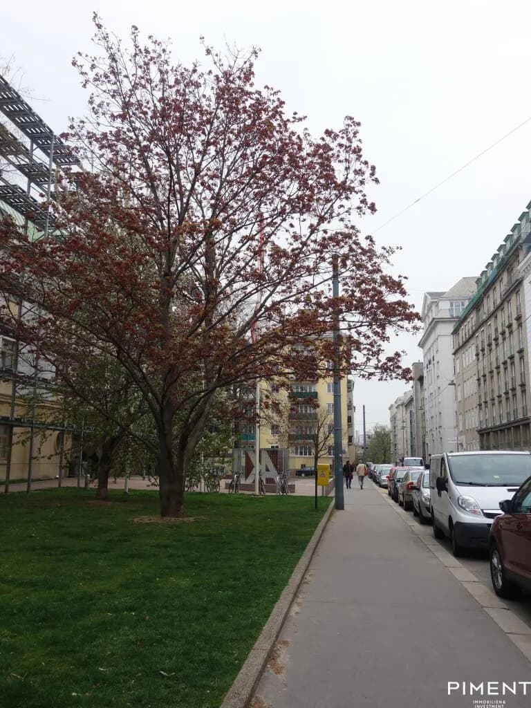 2-Zimmer-Wohnung mieten in Wien – 81,46 m², € 1.590 – Bild 9 von 11