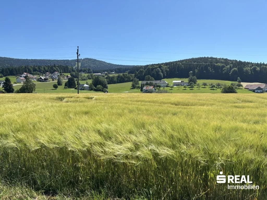 Immobilie kaufen in Rohrbach – 5 632 m², € 80.000