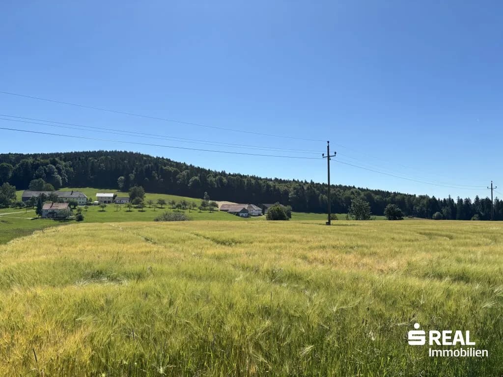 Immobilie kaufen in Rohrbach – 5 632 m², € 80.000 – Bild 2 von 2